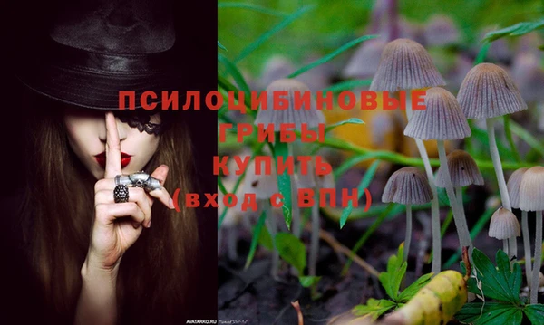 a pvp Алзамай