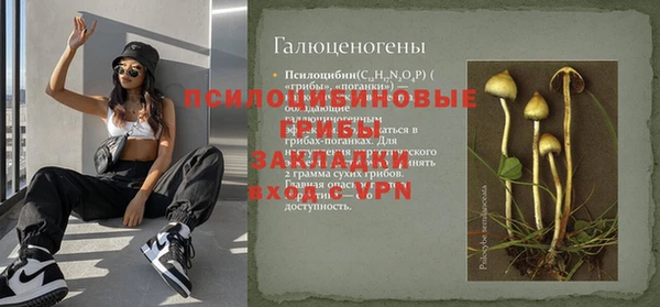 ГАЛЛЮЦИНОГЕННЫЕ ГРИБЫ Алексеевка